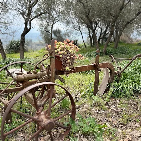 Bruni Wine Montefalco