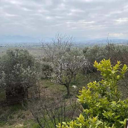 Πανσιόν Bruni Wine 3*